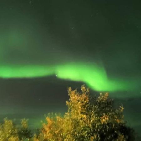 Aurora Rooms In Shared Apartment Nr2 We Are Doing Privet Northen Lights Trips, Reindeer Trip And Fjord Sommaroy Trip Tromso Exterior photo