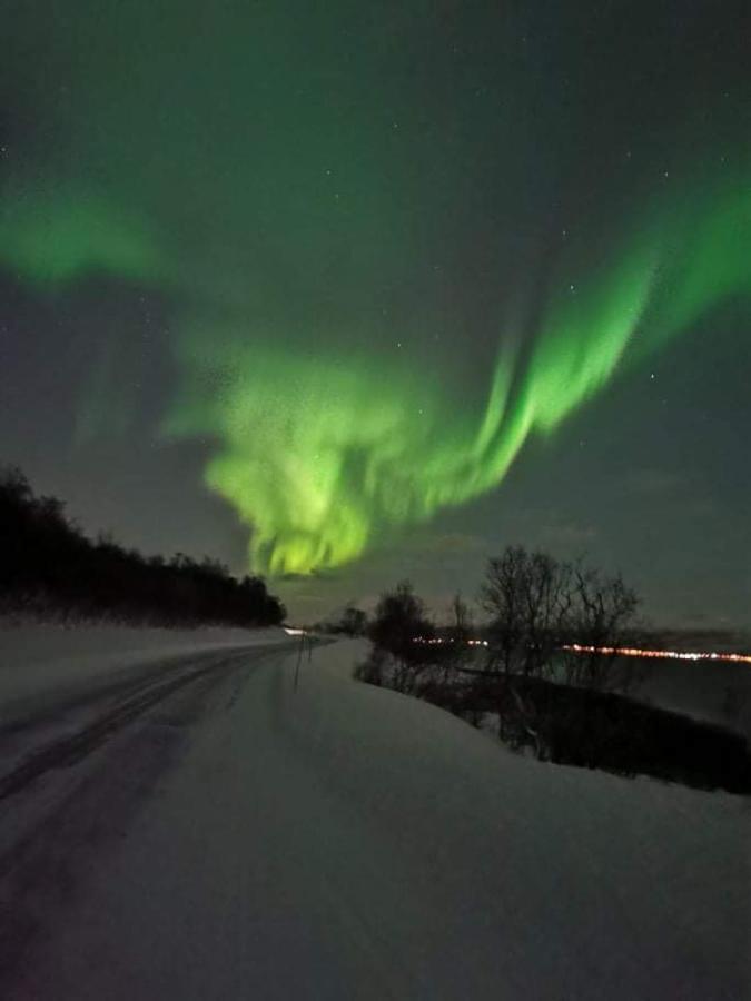 Aurora Rooms In Shared Apartment Nr2 We Are Doing Privet Northen Lights Trips, Reindeer Trip And Fjord Sommaroy Trip Tromso Exterior photo